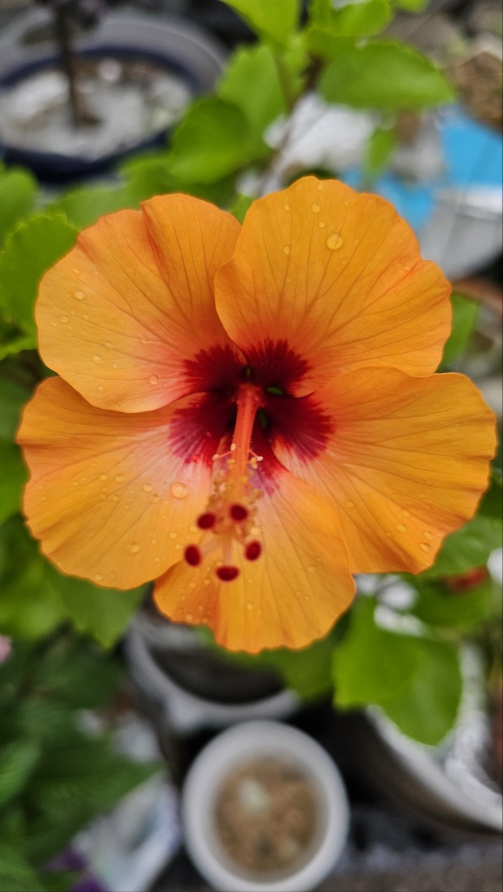 Post image 22