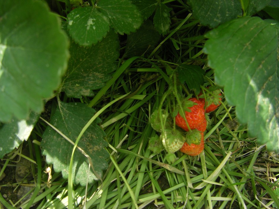 Post image 7