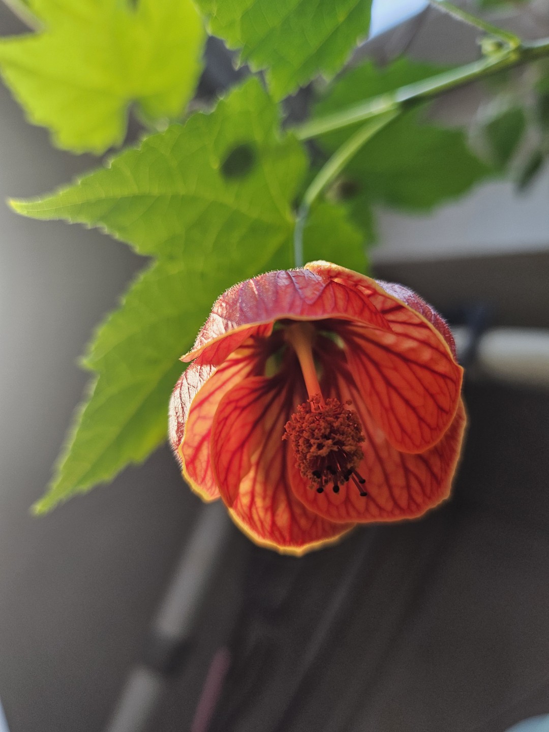 Post image 5