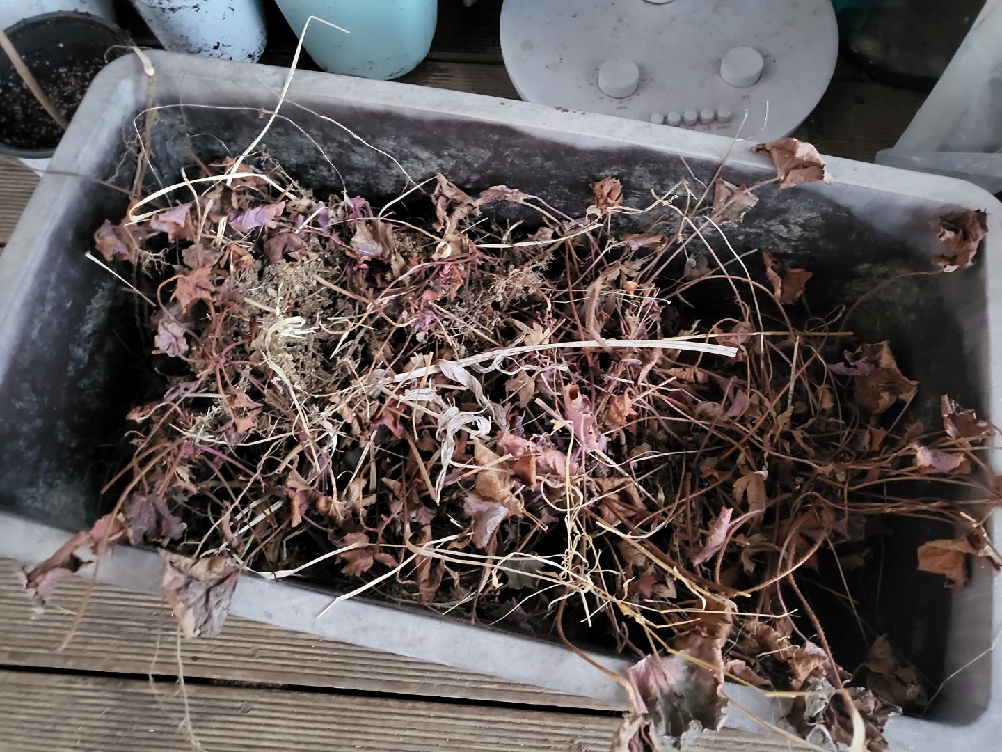 Post image 15