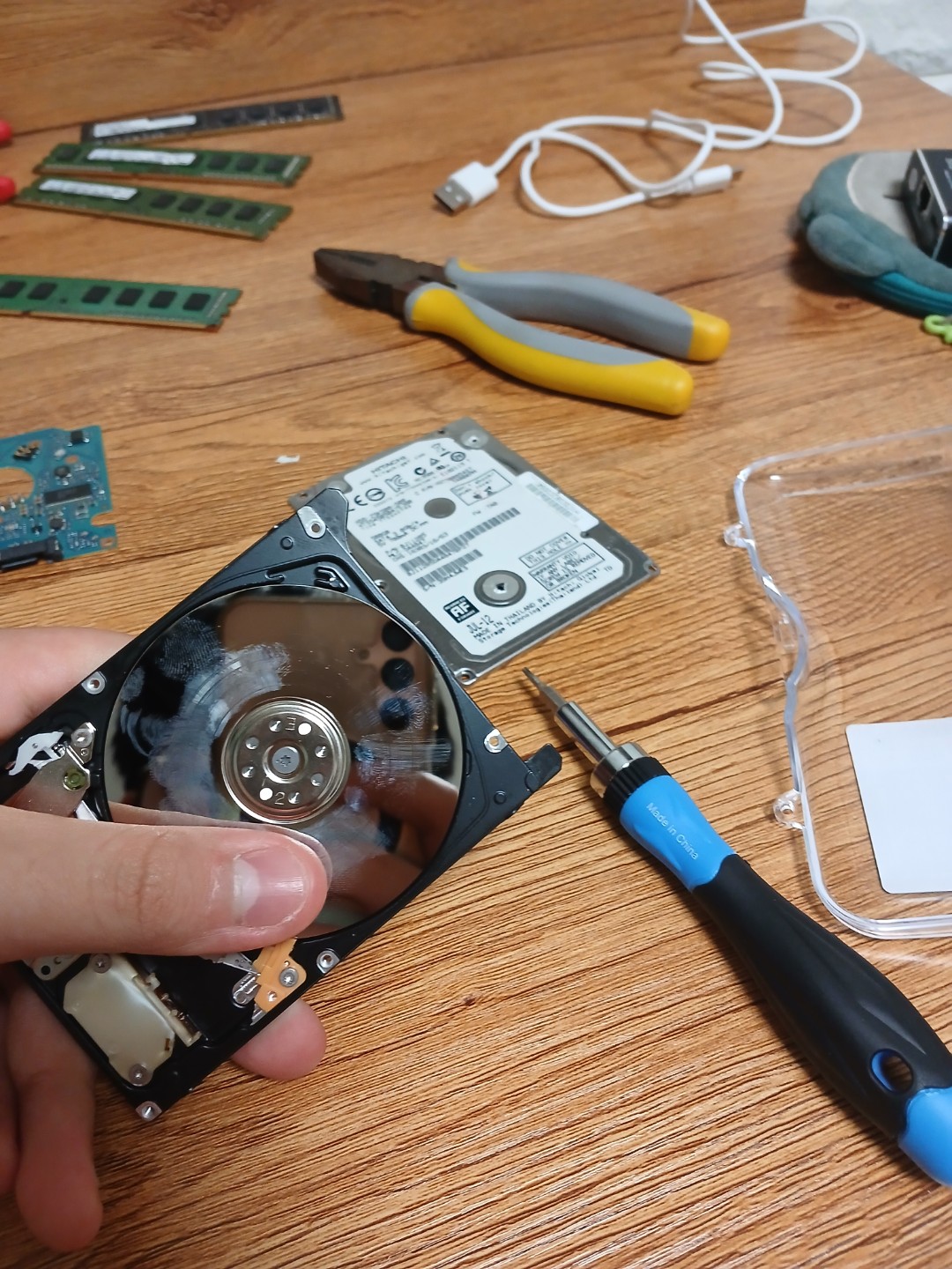 코이츠 그것은 죽은 www