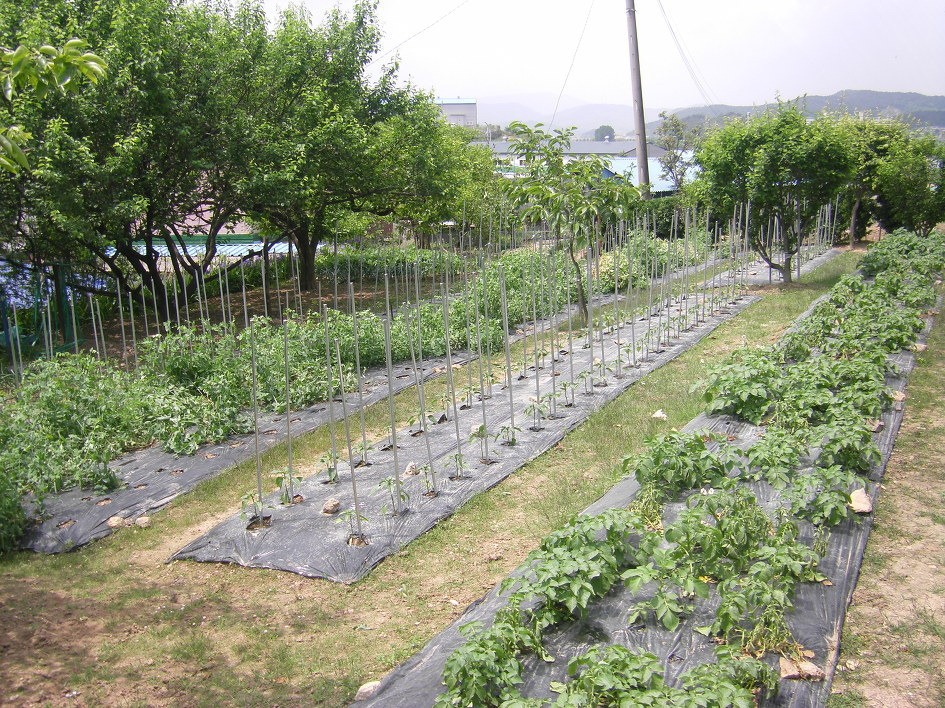 Post image 9