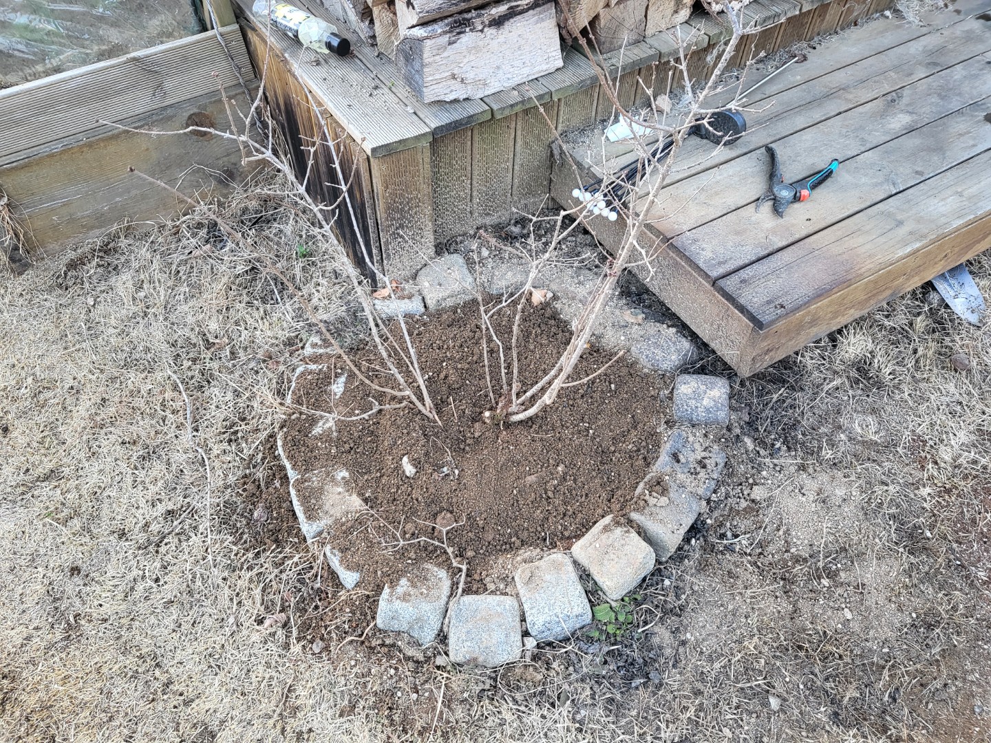 Post image 6