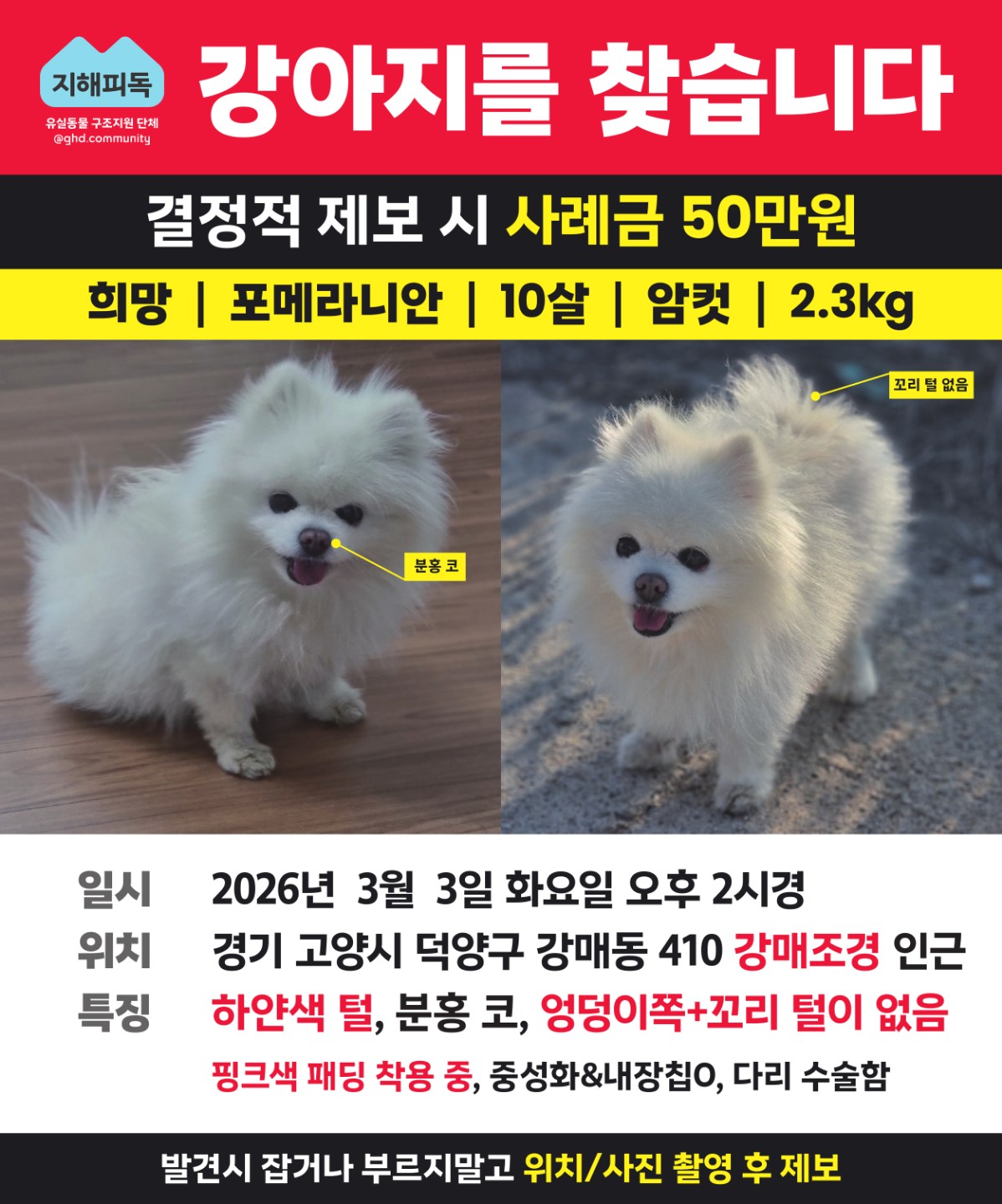 Post image 7
