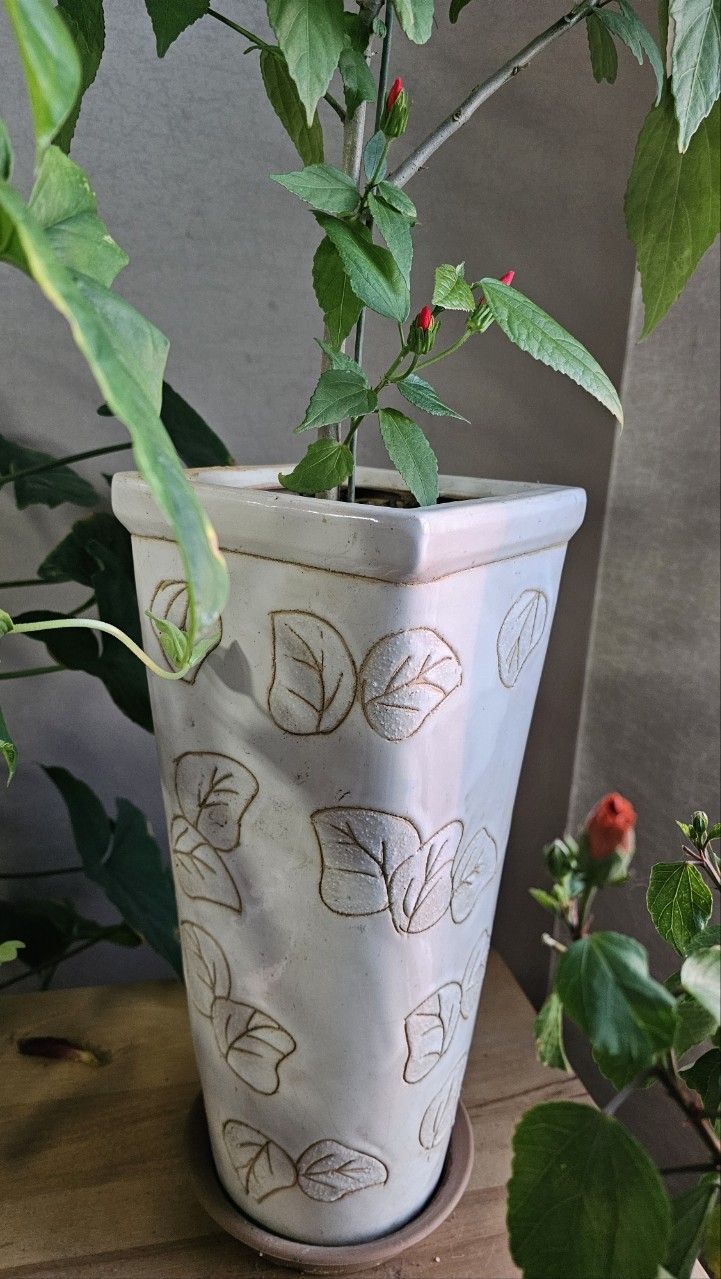 Post image 10