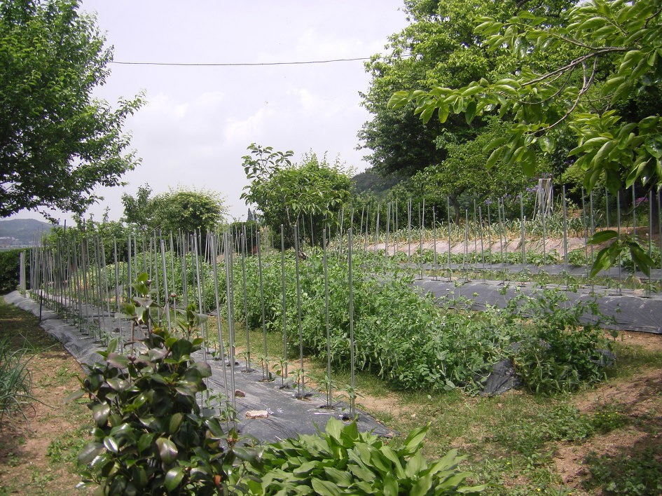 Post image 10