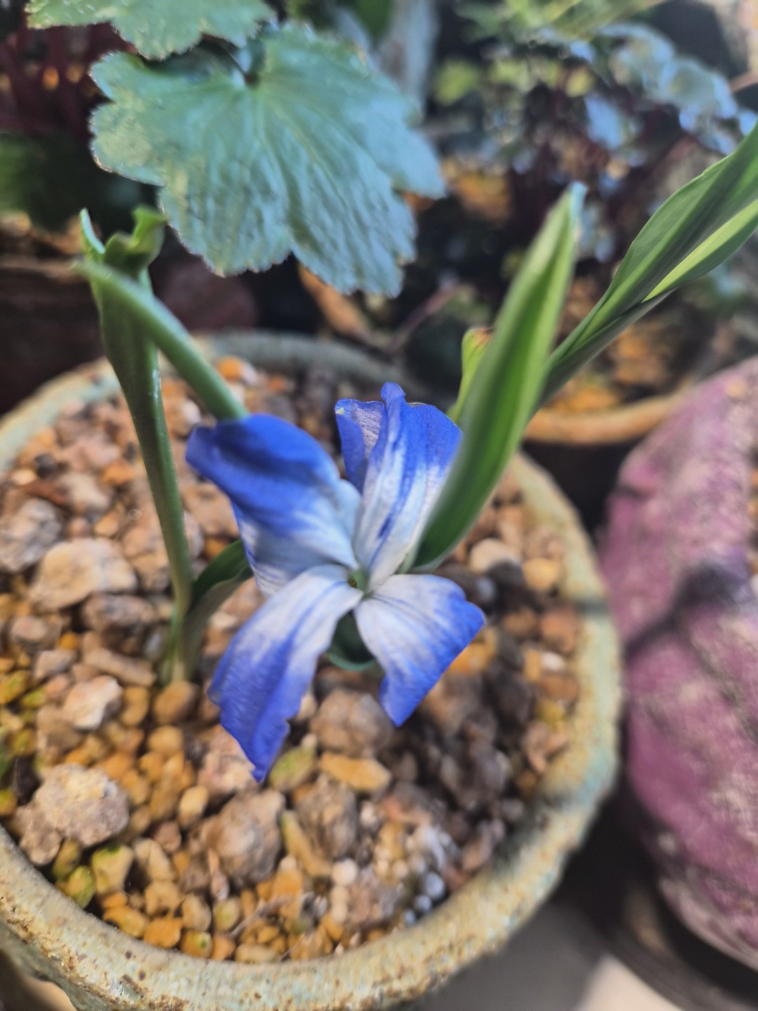 Post image 3