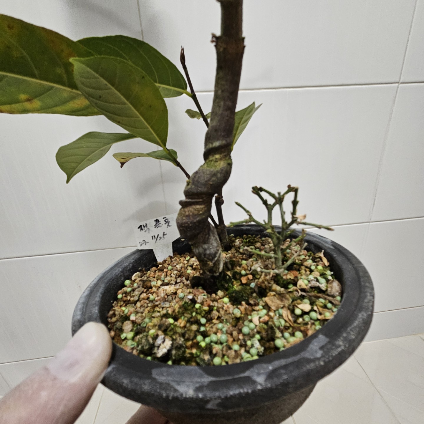 Post image 3