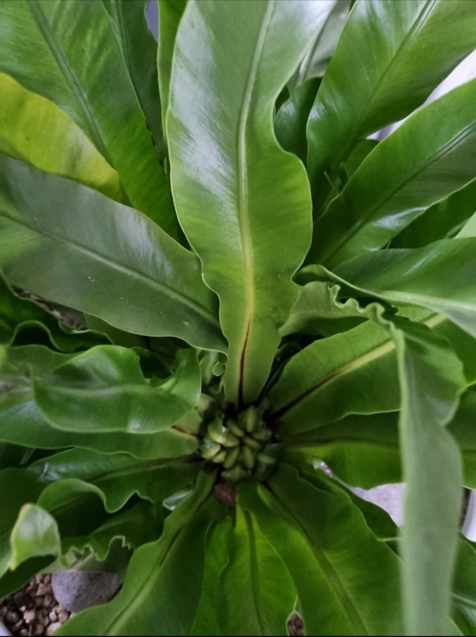 Post image 18