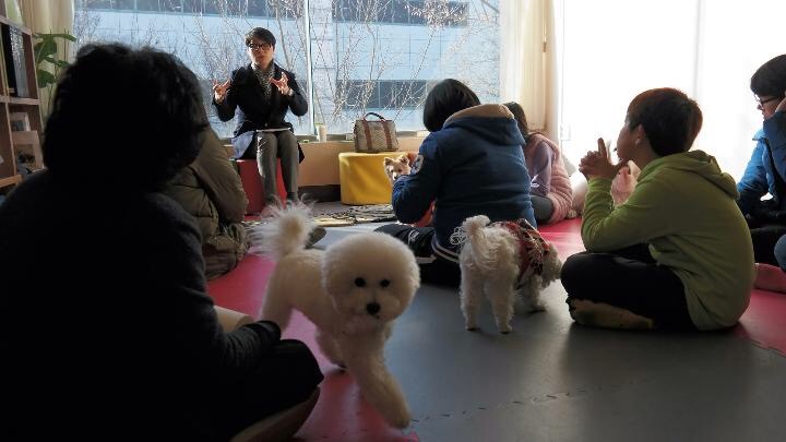 반려견/묘를 힘으로 교육(제압. 통제)하면 벌어지는 일