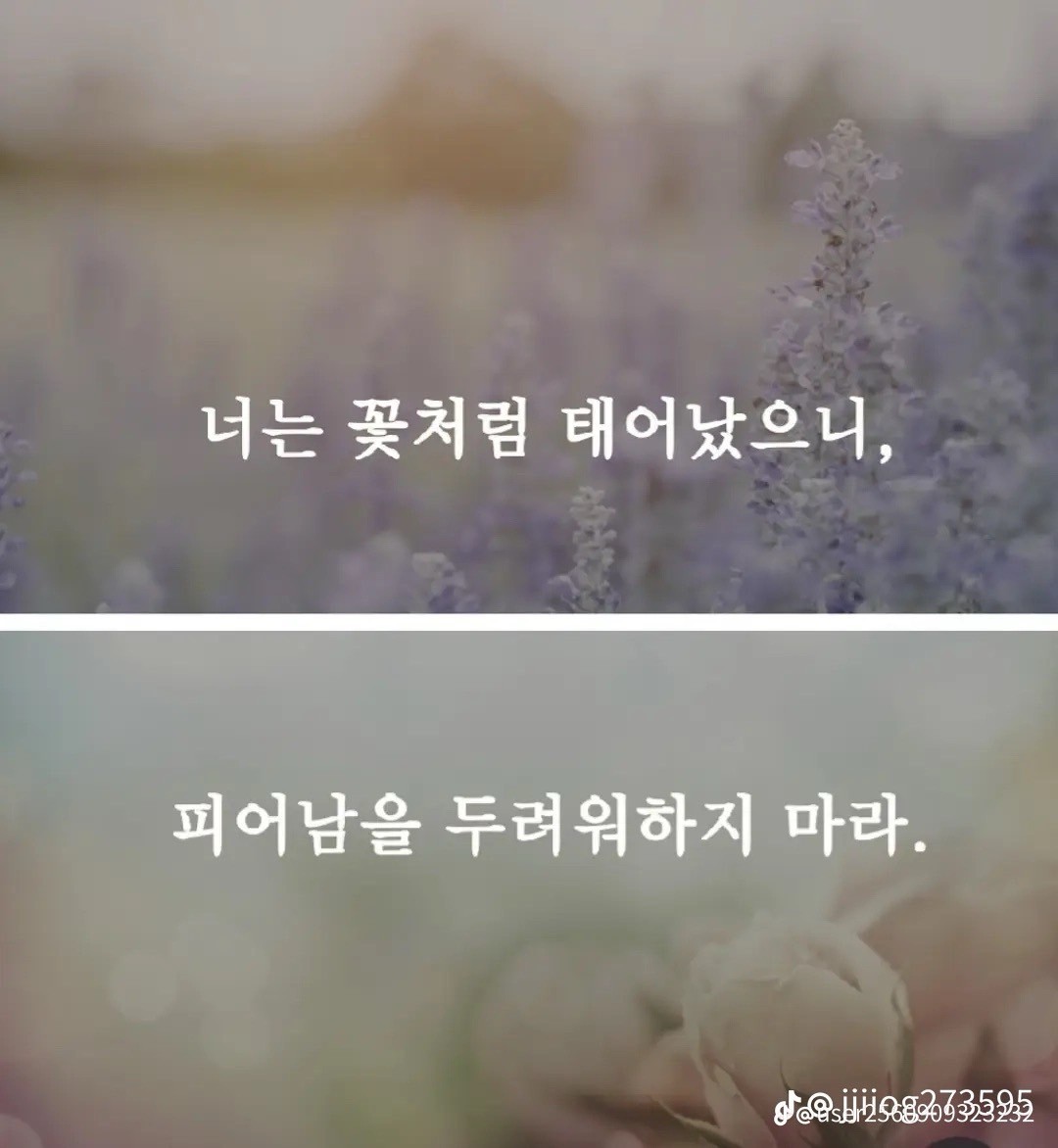 Post image 11