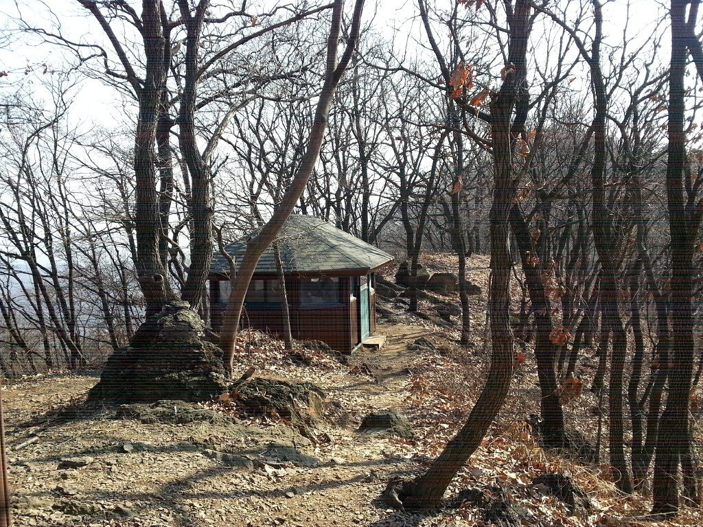 Post image 11