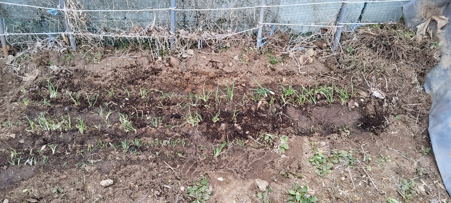 Post image 8