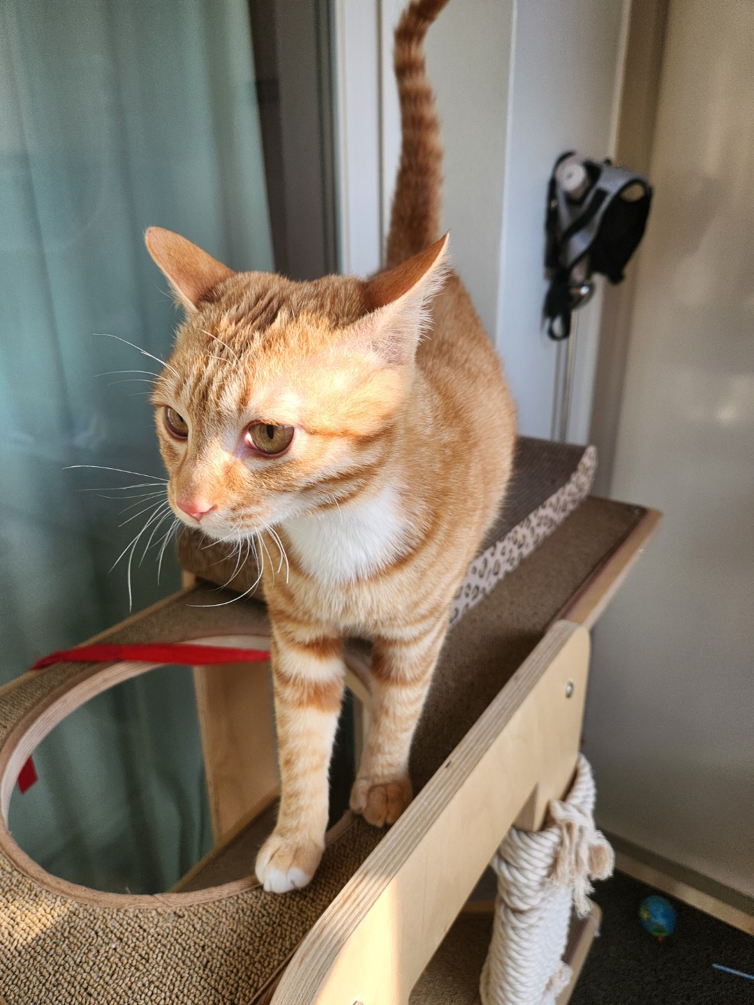 여러분 방갑습니다