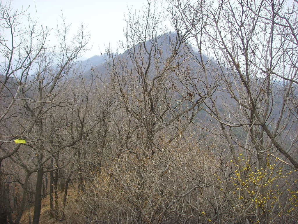 Post image 12