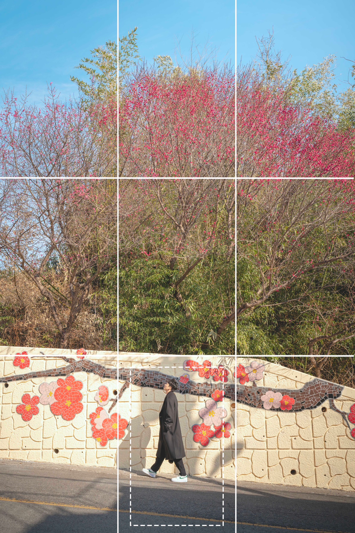Post image 16