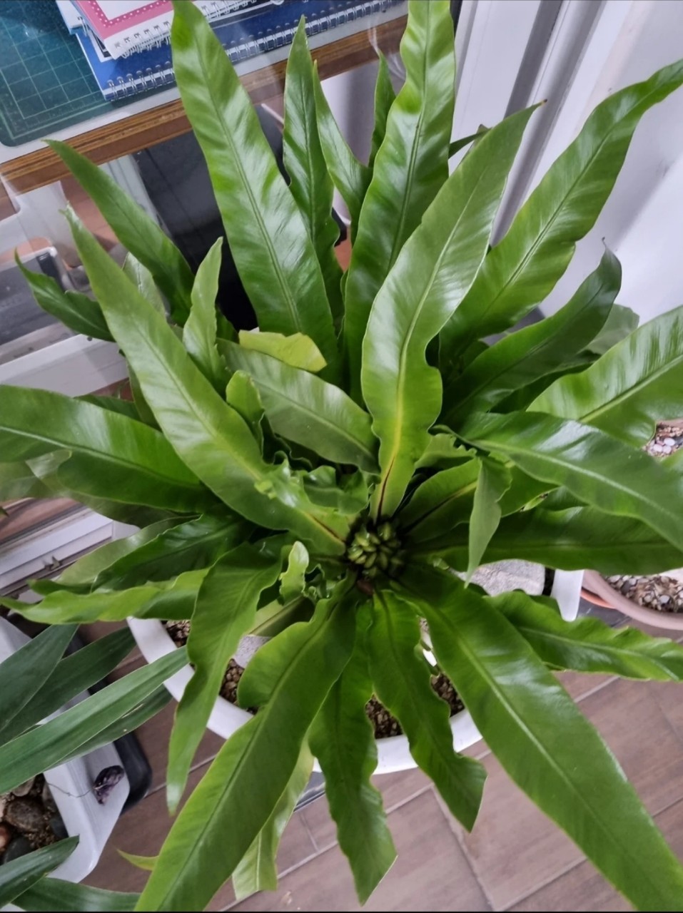 Post image 19