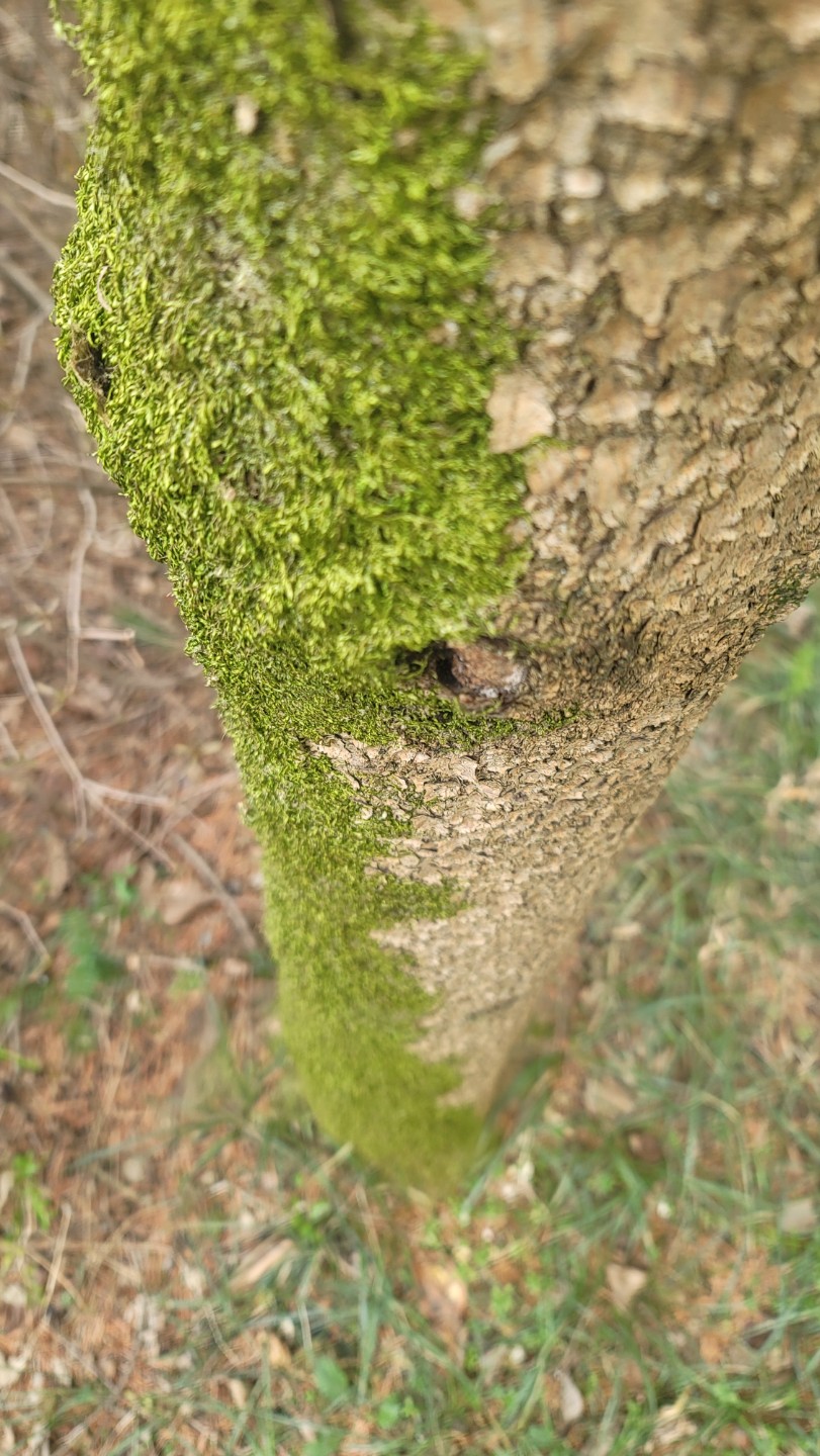 Post image 10