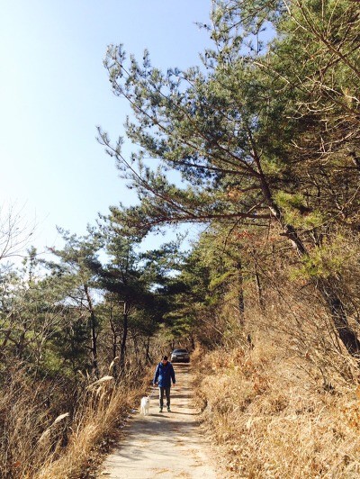 시.청각 장애 반려동물 케어 코칭