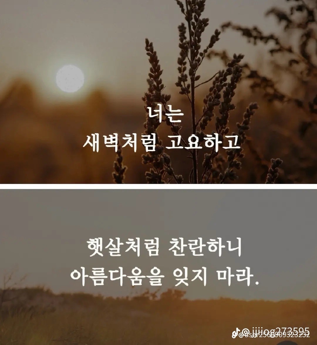 Post image 5