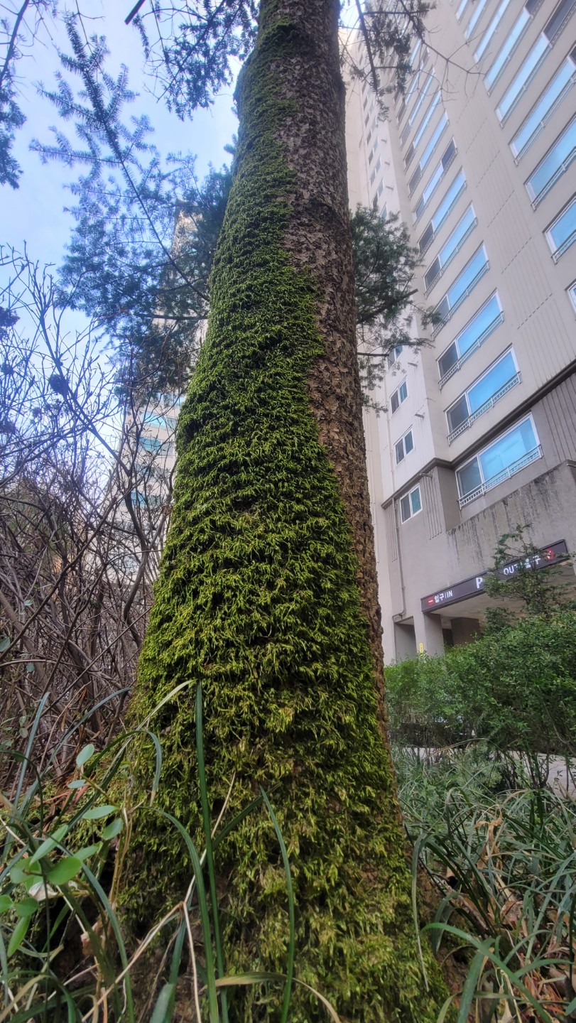 Post image 8