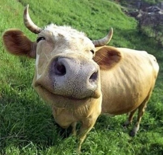 토요일이니까 웃음 폭탄 투하합니다😂😂😂