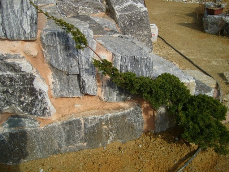Post image 7