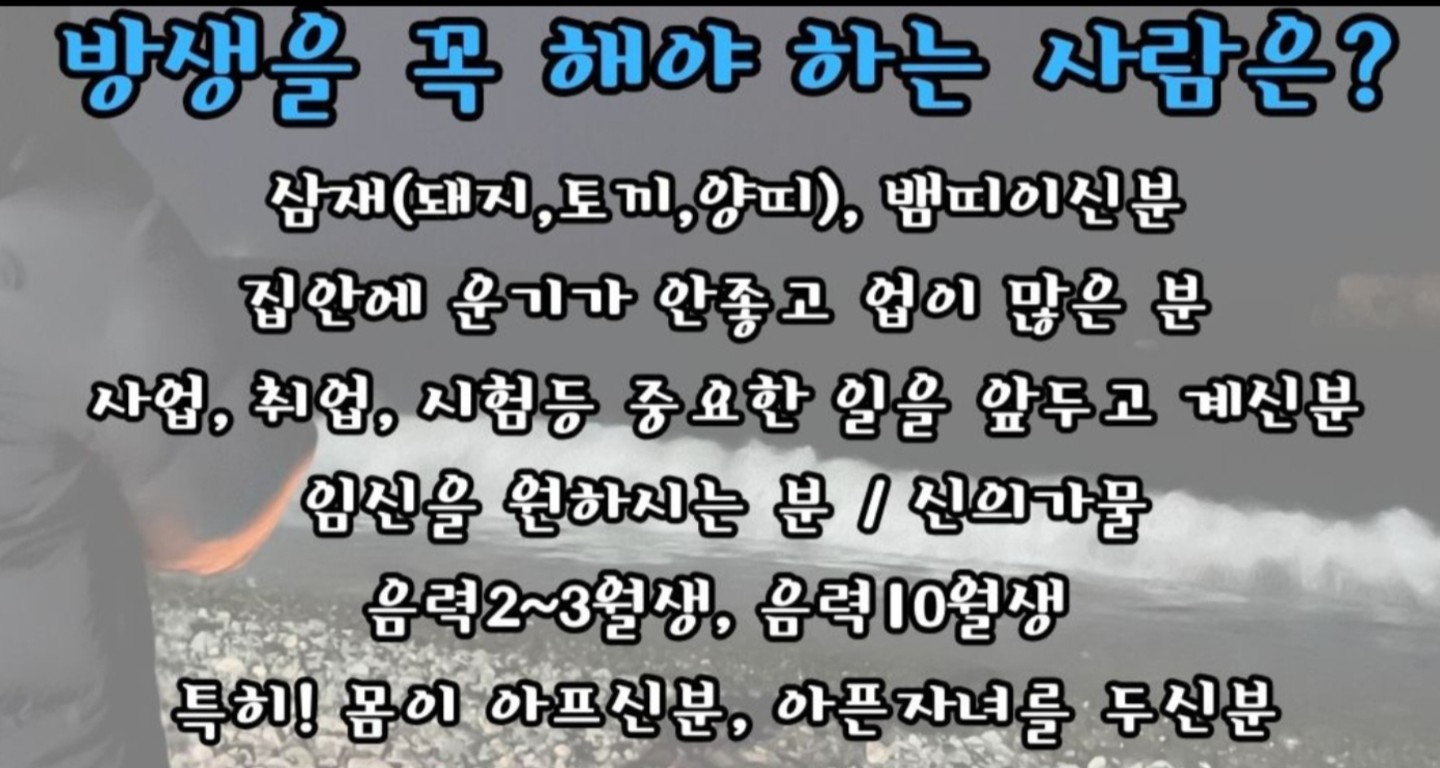 방생으로 최대의 효험을 봅시다~🐢