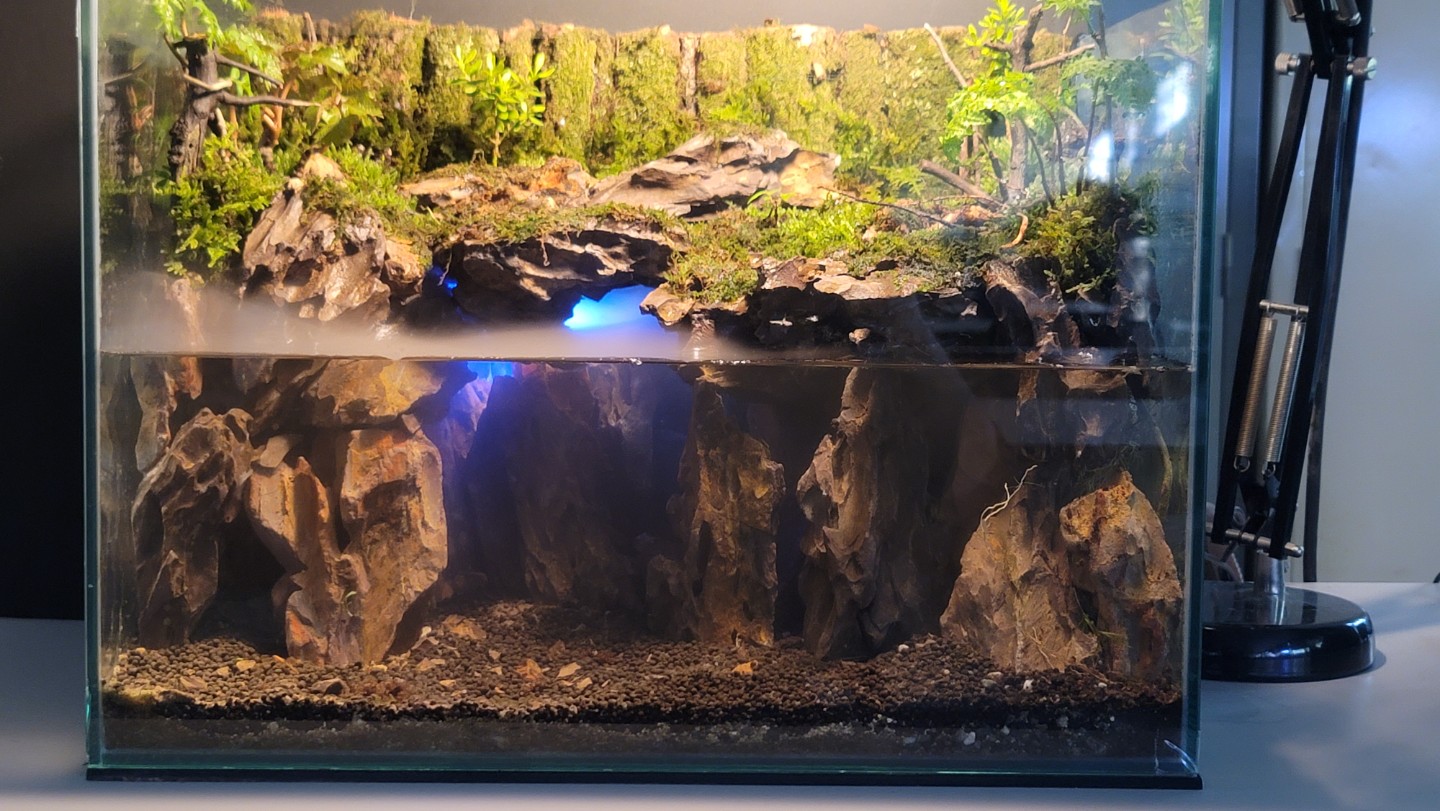 Post image 17