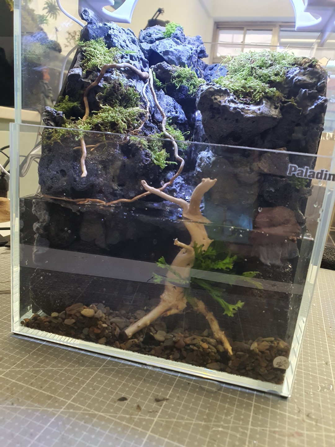 Post image 5