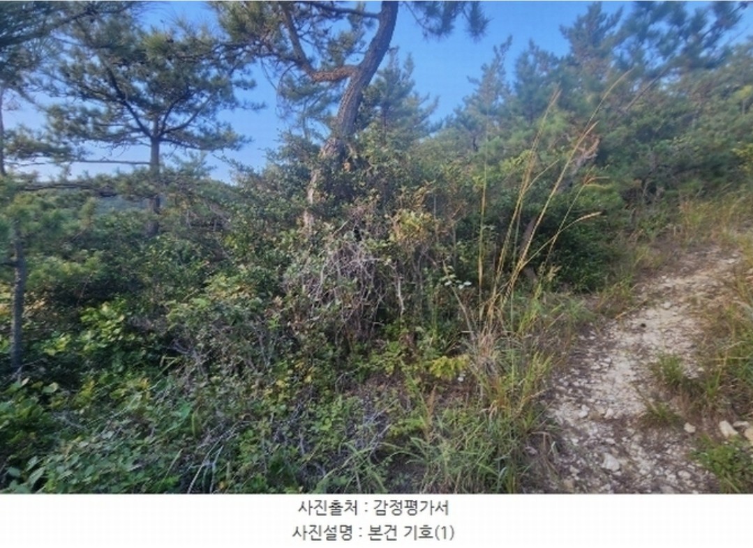 Post image 5