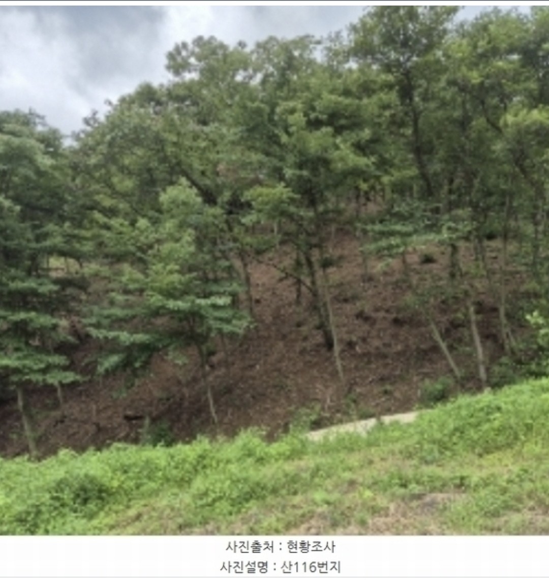 Post image 7