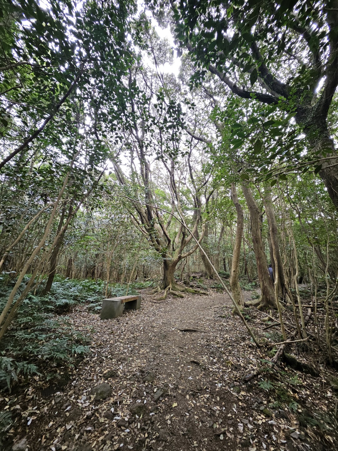 Post image 4