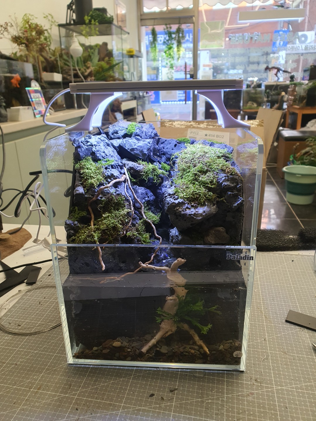 Post image 9
