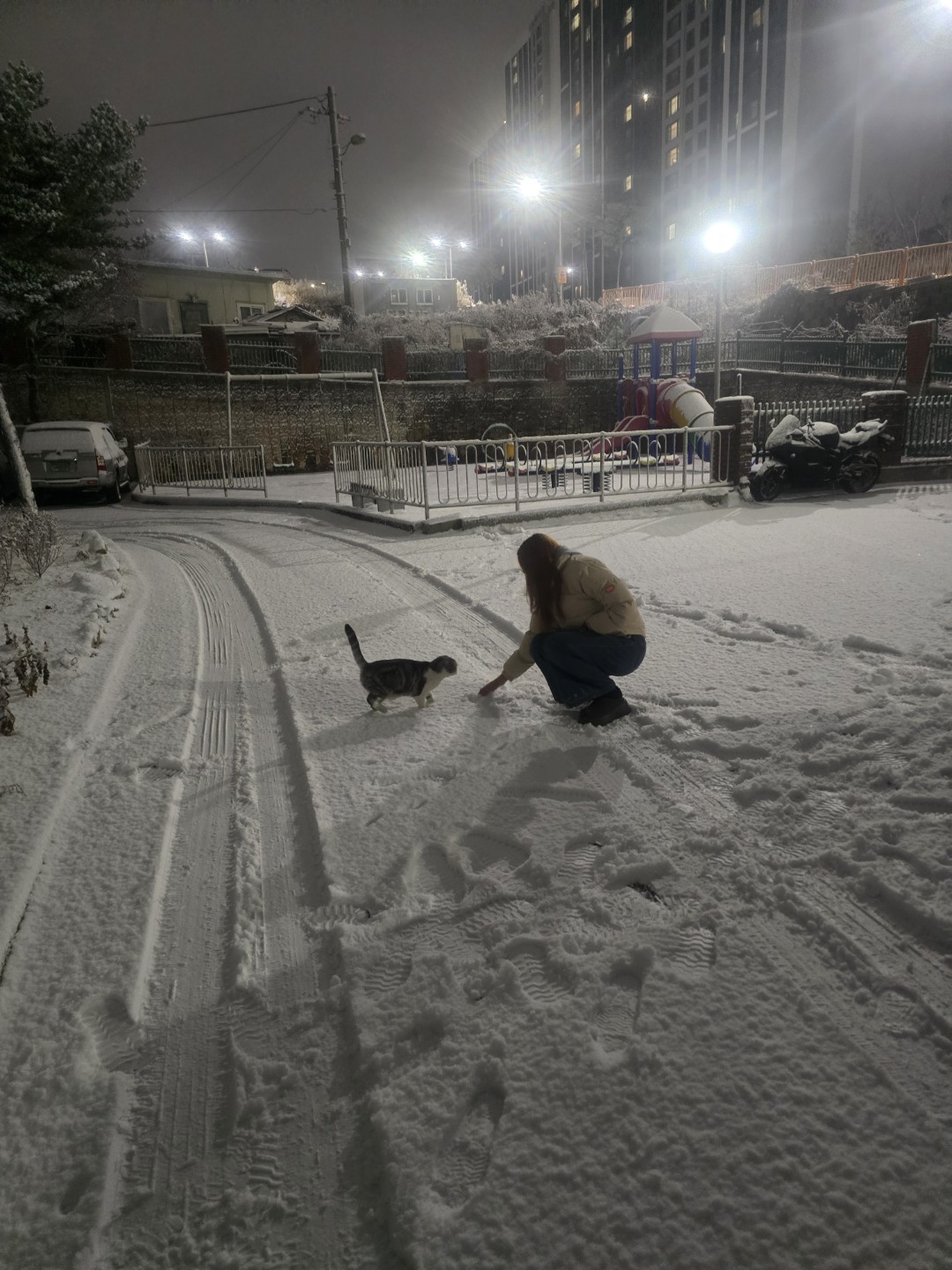 우리 가족을 소개 합니다