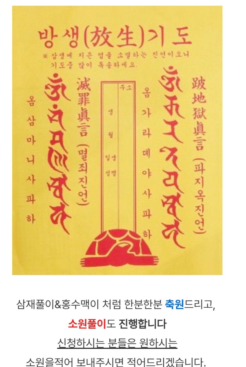 방생으로 최대의 효험을 봅시다~🐢