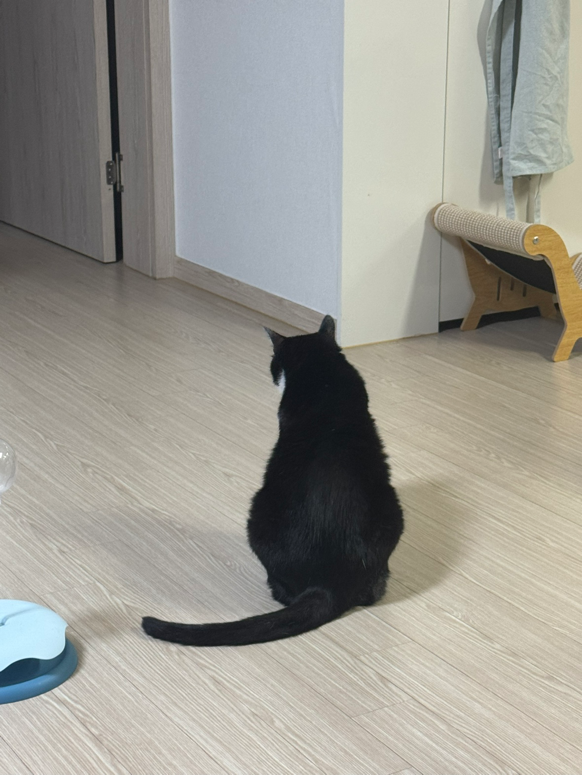 Post image 5