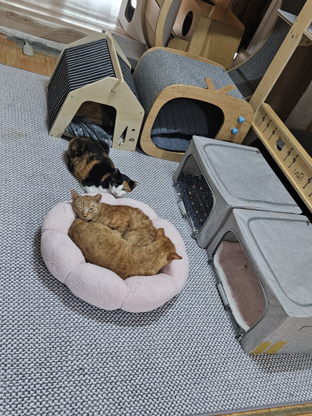 한주를시작하는