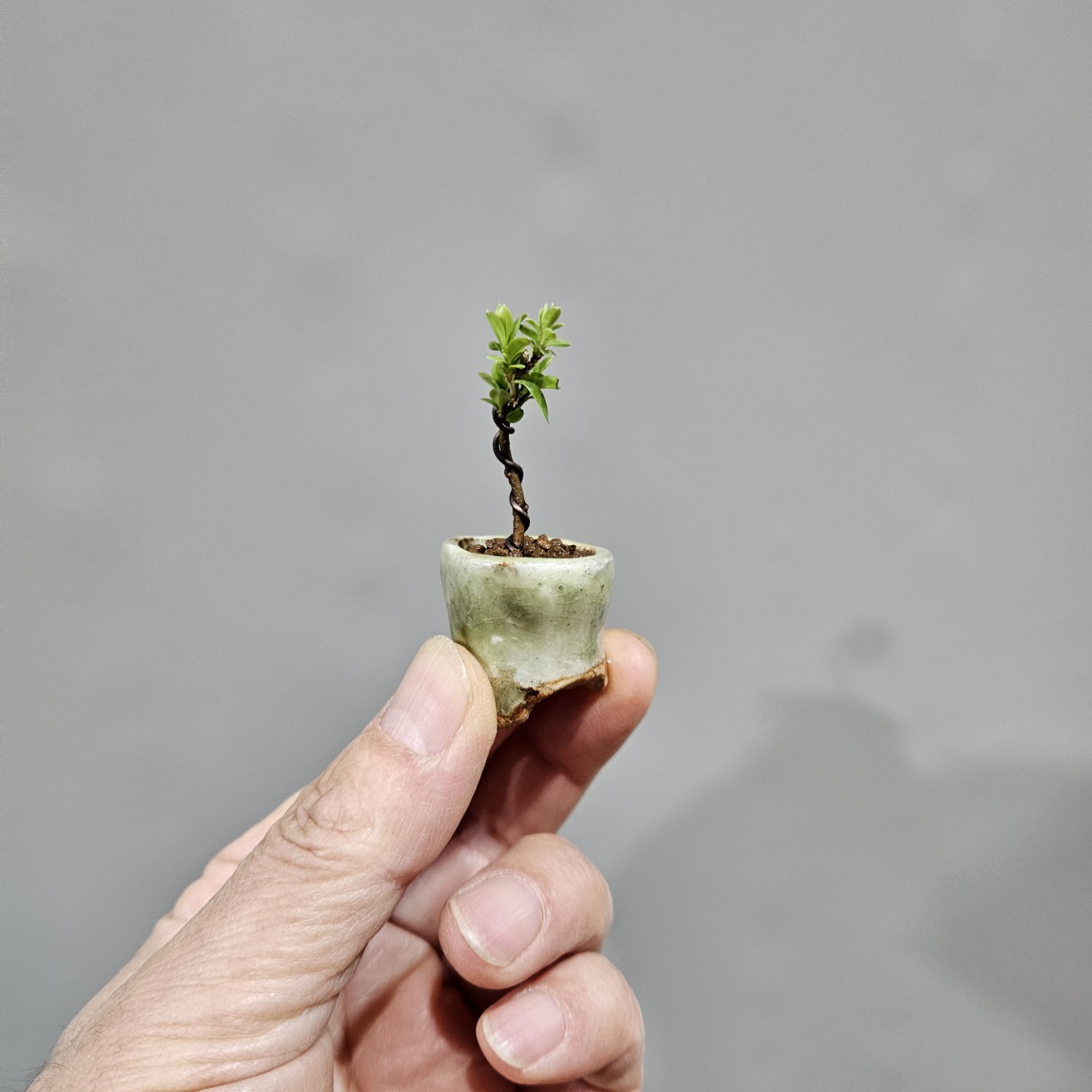 Post image 2