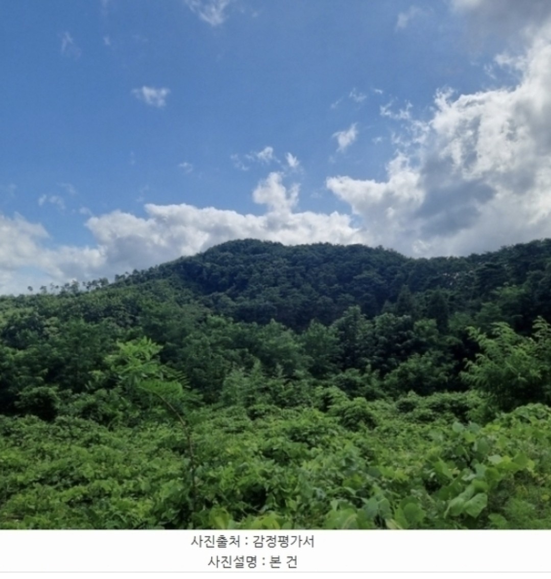 Post image 5