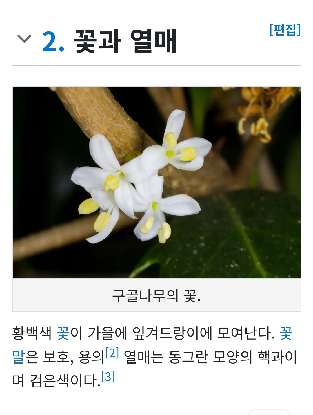 Post image 6