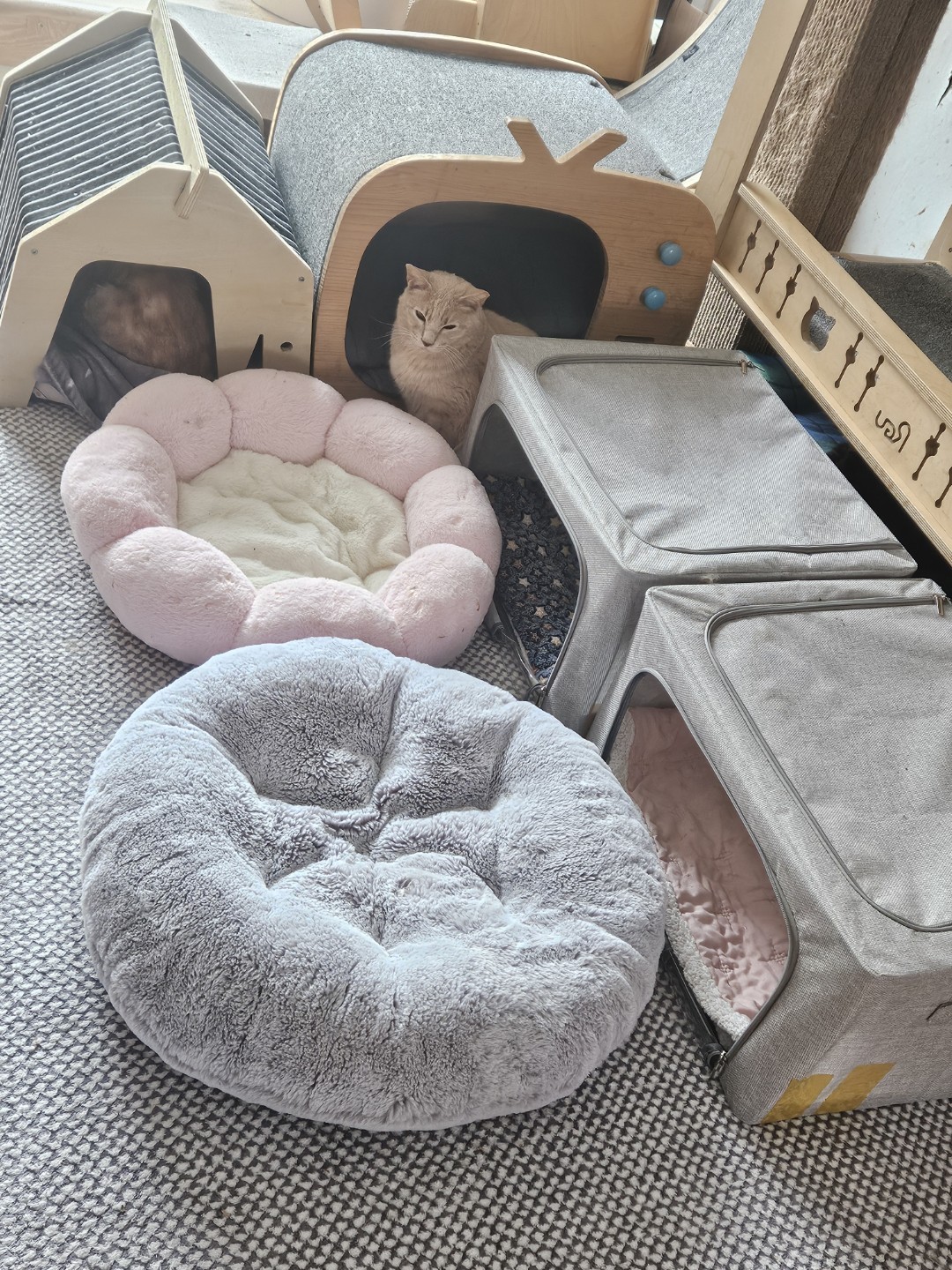 한주를시작하는