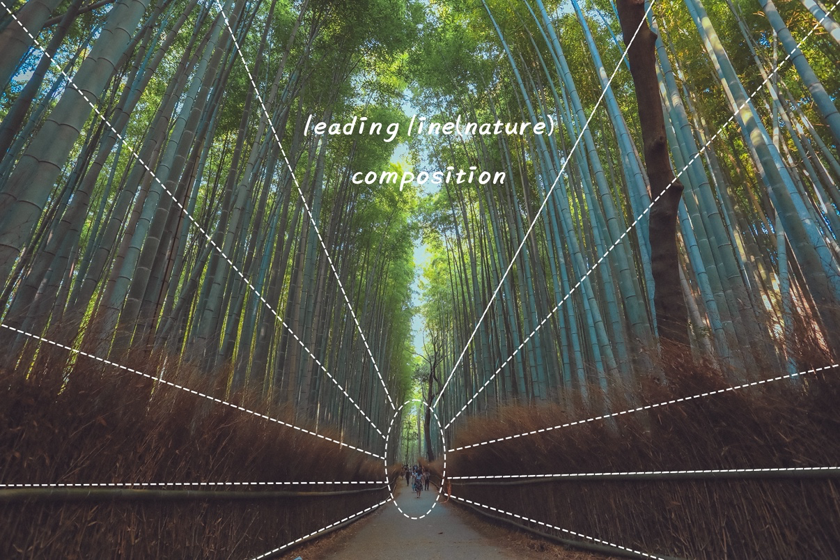 Post image 15