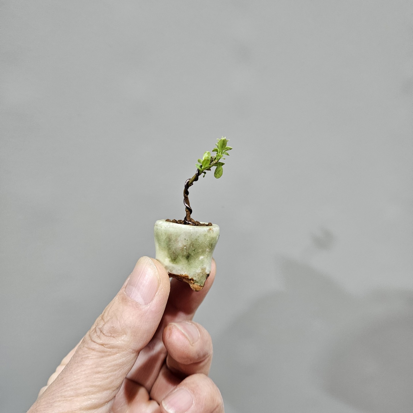 Post image 3