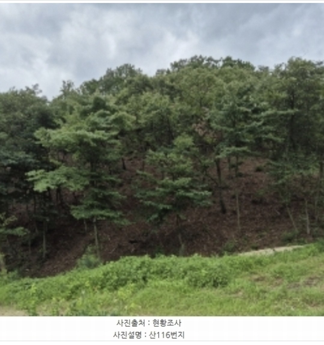 Post image 6