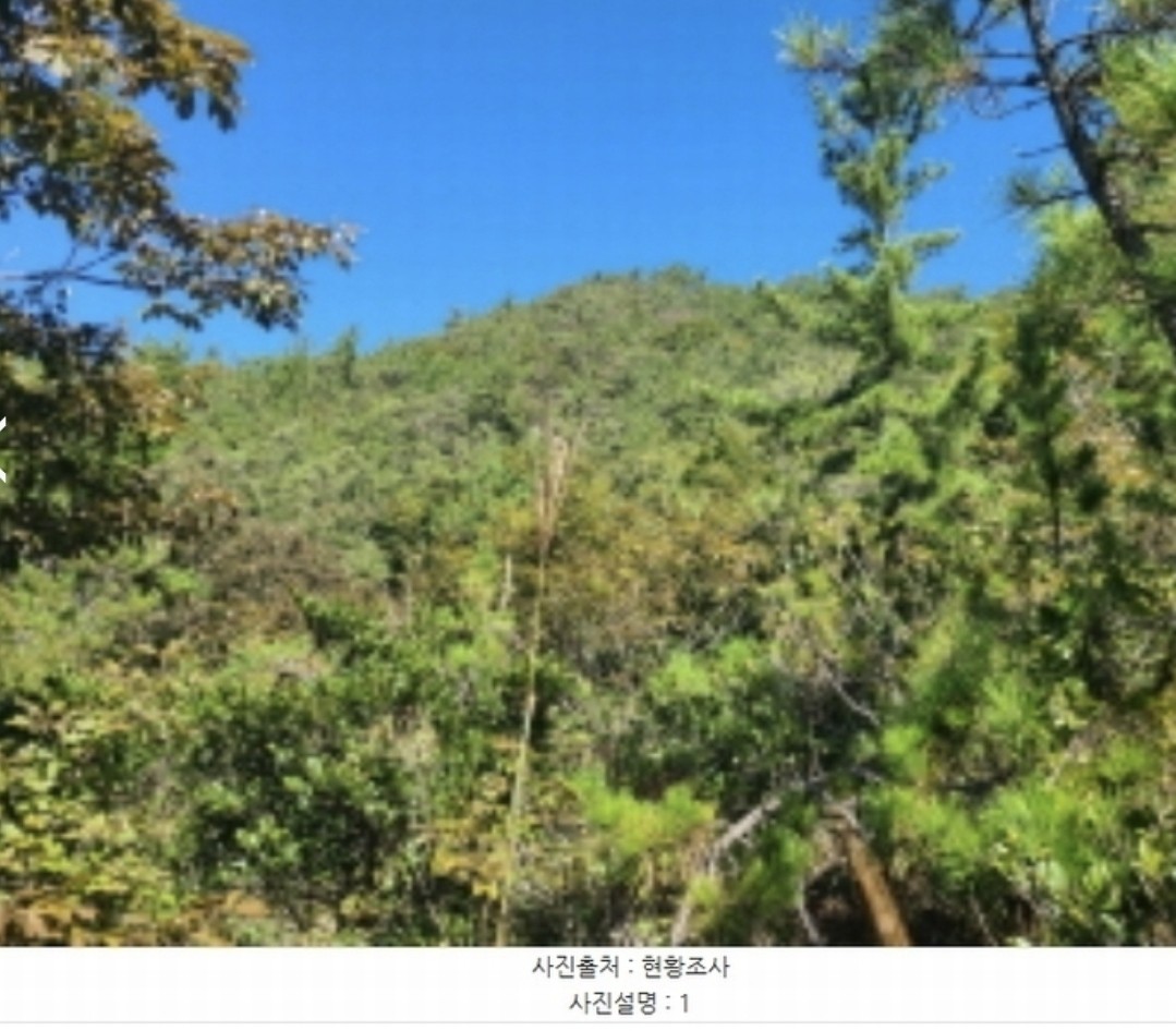 Post image 7