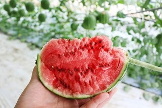 Post image 22