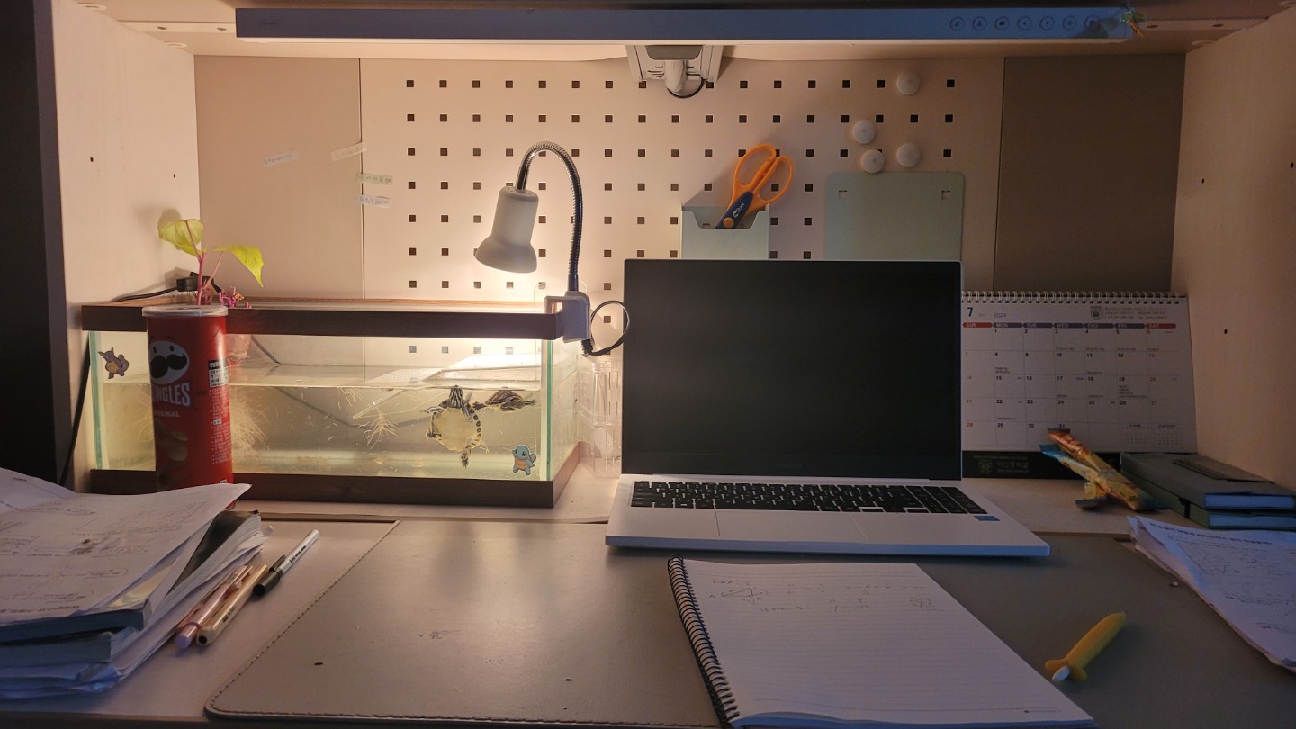 전 거북이를 키워요 밥 잘먹는게 동생같아서 좋아요