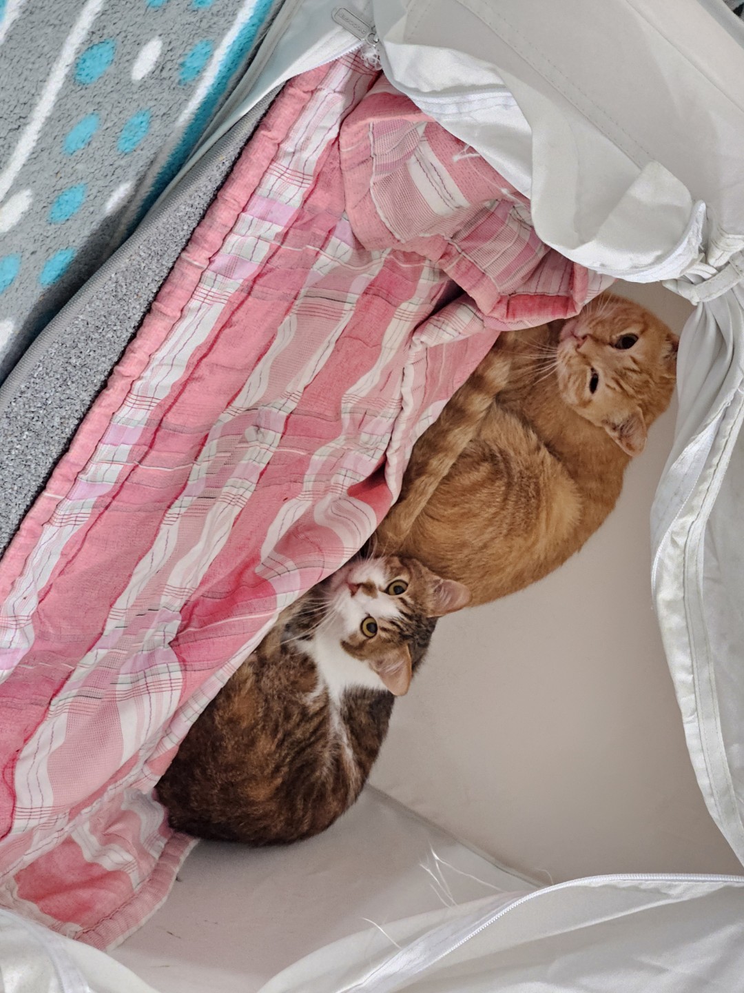 한주를시작하는