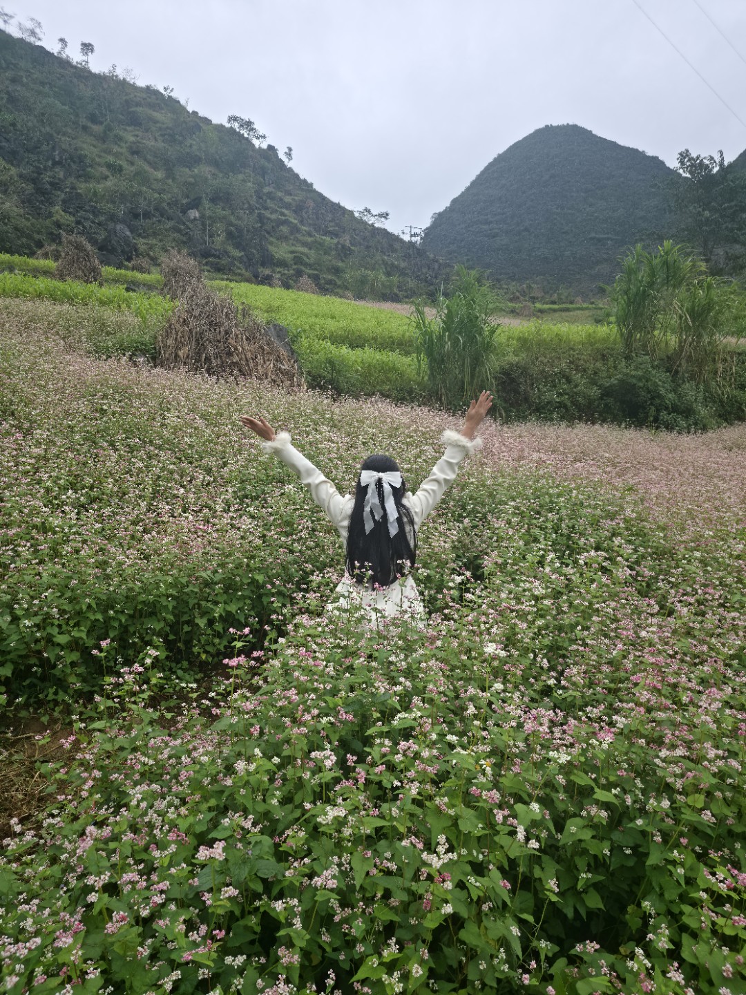Post image 6
